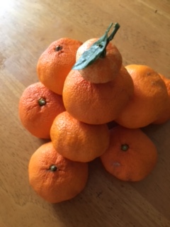 業務管理部　こだ